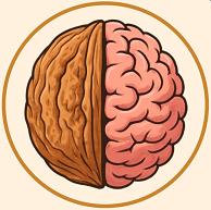 WalnutsAndBrain